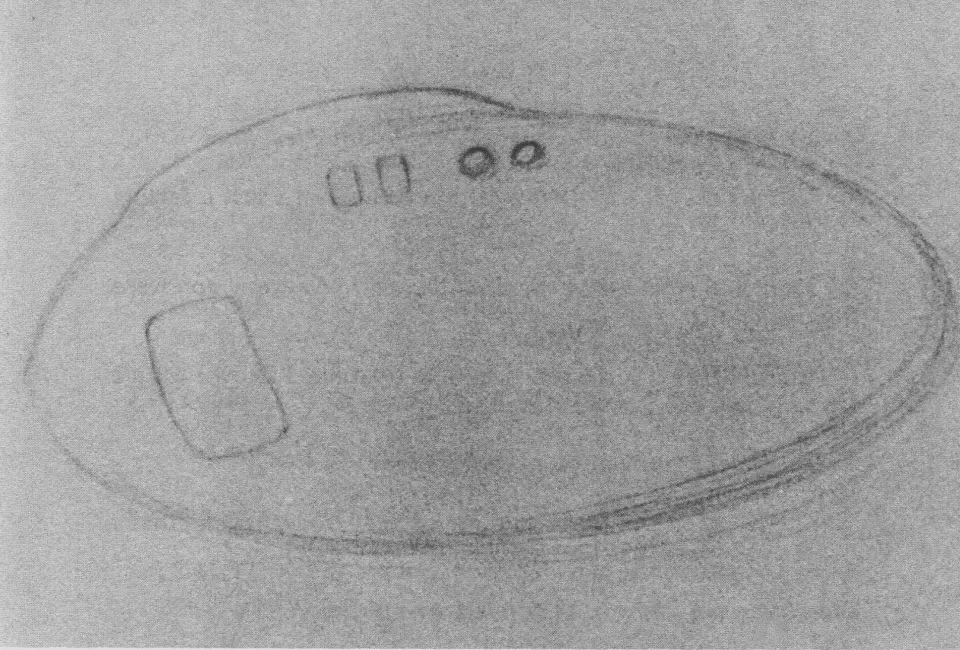 Sketch of the craft they allegedly saw.