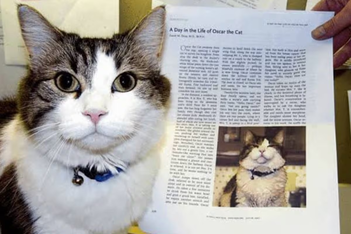 Oscar the Therapy Cat: The Cat Who Could Predict Death