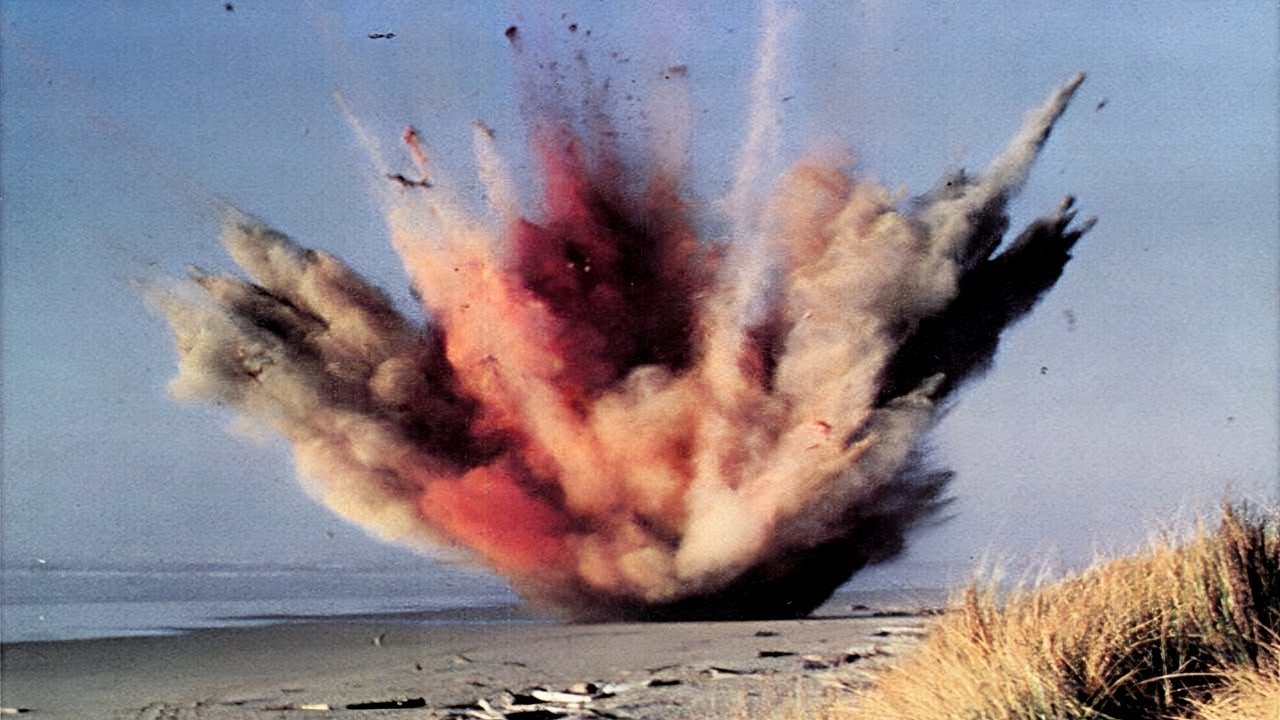 Orca Exploding Fish The Oregon Exploding Whale