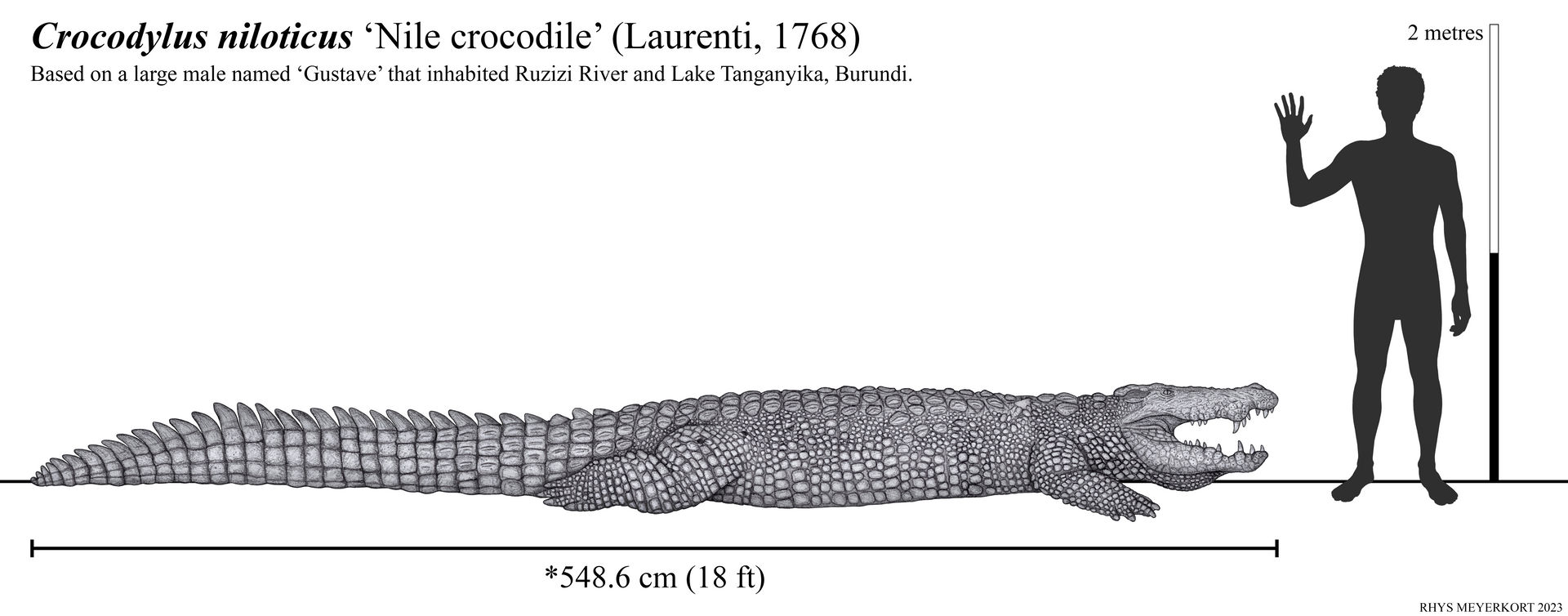 Gustave Historys Deadliest Crocodile