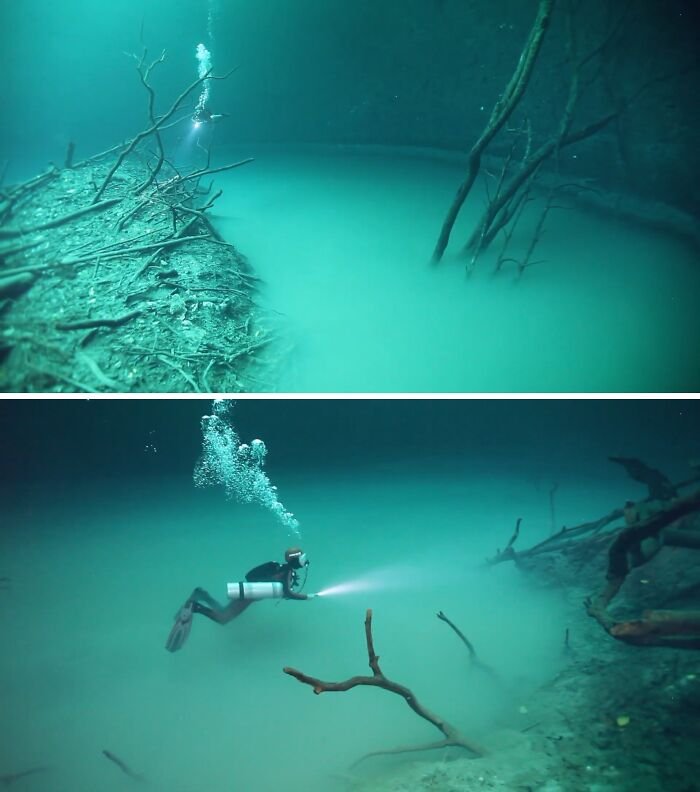 Cenote Angelita is a deep sinkhole located 17 km south of Tulum, Mexico.