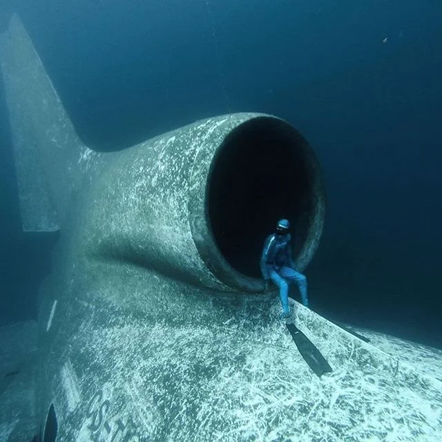 Sitting in the engine of a sunken L-1011